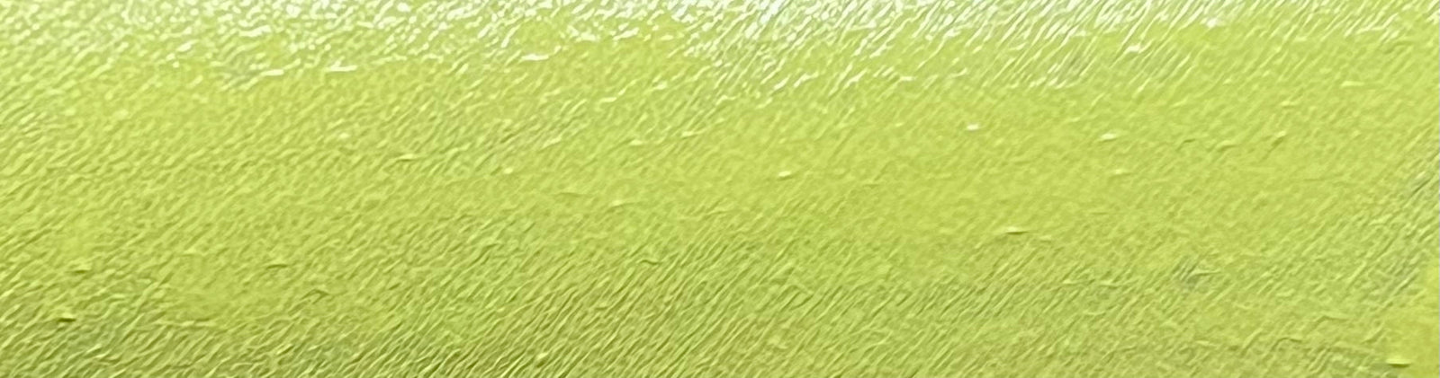 44 - Chartreuse (Yellow) Water Activated Graphic Liner
