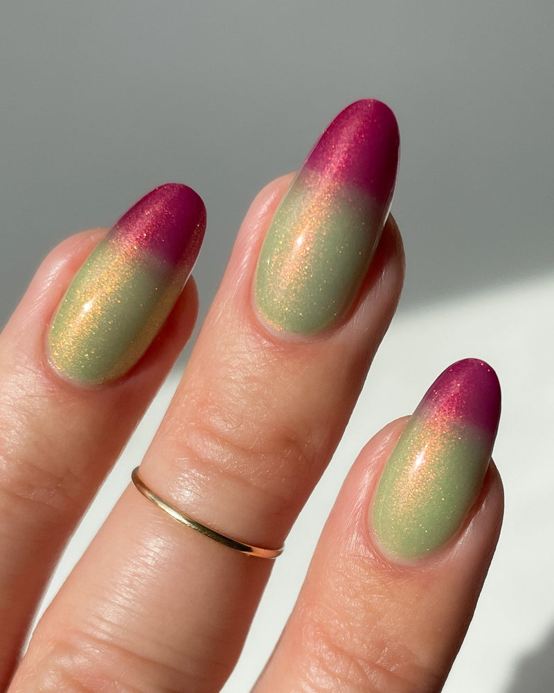 Anti Venom