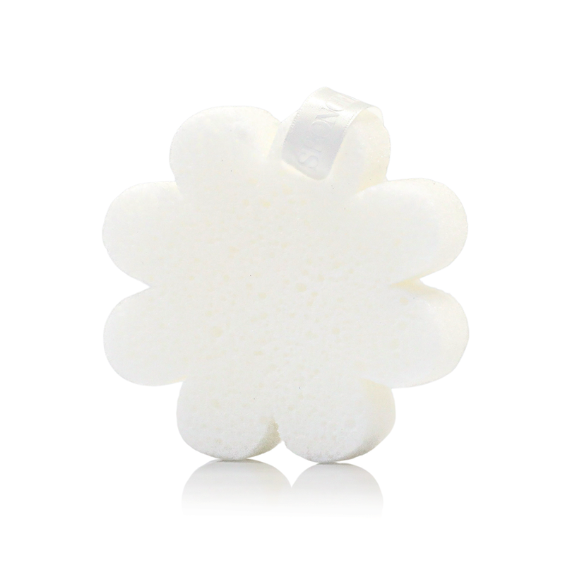 Coconut Verbena | Boxed Flower